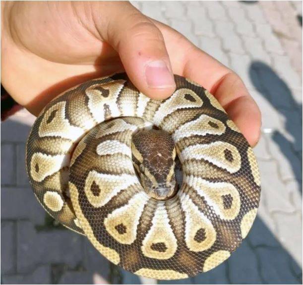 Polis Denetiminde Şaşkına Çeviren Olay