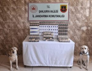 Şanlıurfa’da Kaçakçılık Operasyonu: 2 Bin 800’den Fazla Paket Sigara Yakalandı