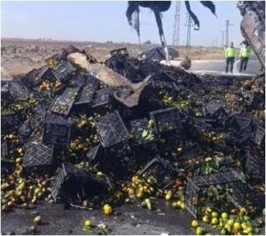 Şanlıurfa'da Mandalina Yüklü Tır Alev Alev Yandı
