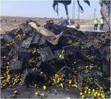 Şanlıurfa'da Mandalina Yüklü Tır Alev Alev Yandı