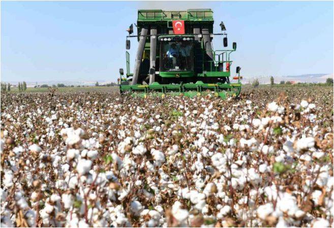 Şanlıurfa’da Pamuk Üretimi Krizde: Çiftçi ve Sanayici Zorda