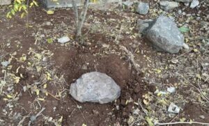 Siverek’te Kan Donduran Olay: Bebek Cesedi Mezarlıkta Bulundu