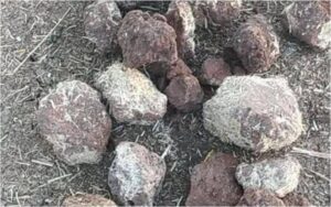 Üretici: ''Bizim İnsanlar Niye Bu Kadar Haram Yer Oldu?”