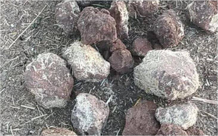 Üretici: ''Bizim İnsanlar Niye Bu Kadar Haram Yer Oldu?”