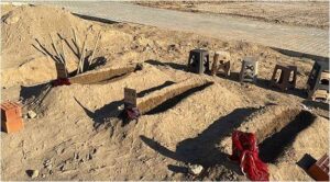 Böcek Ailesinin Ölümüne İlişkin Bir Skandal Daha!