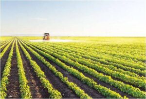 Çiftçilere Uyarı: ÇKS Başvurularında Son Günler