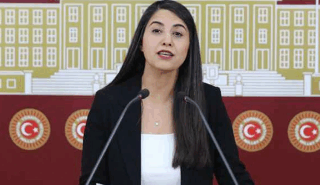 Dilan Kunt Ayan’dan TBMM’ye Sınır Kapıları Araştırması Talebi