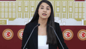 Dilan Kunt Ayan’dan TBMM’ye Sınır Kapıları Araştırması Talebi