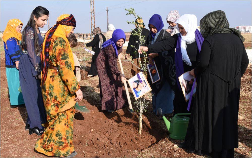 Şanlıurfa Kadın Dayanışması Fidanlarla Yeşerdi