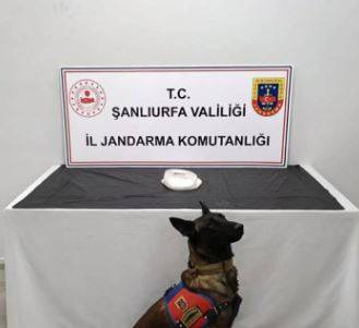 Şanlıurfa’da Baskın: 500 Gram Metamfetamin Ele Geçirildi!