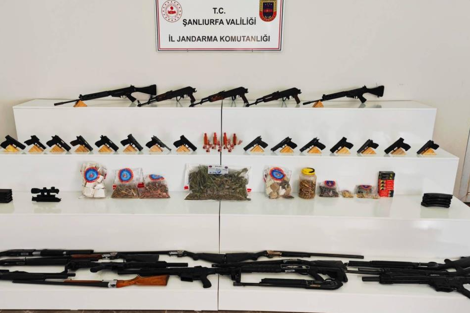 Şanlıurfa'da Mısır Tarlasında Çıkanlar Görenleri Şaşkına...