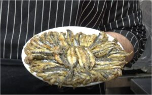 Şanlıurfa’da Tezgahlar Canlanıyor: Balık Fırtınası Kapıda!