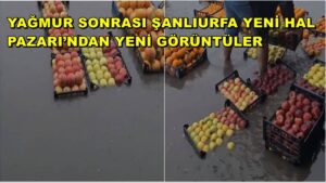Yağmur Sonrası Şanlıurfa Yeni Hal Pazarı’ndan Yeni Görüntüler
