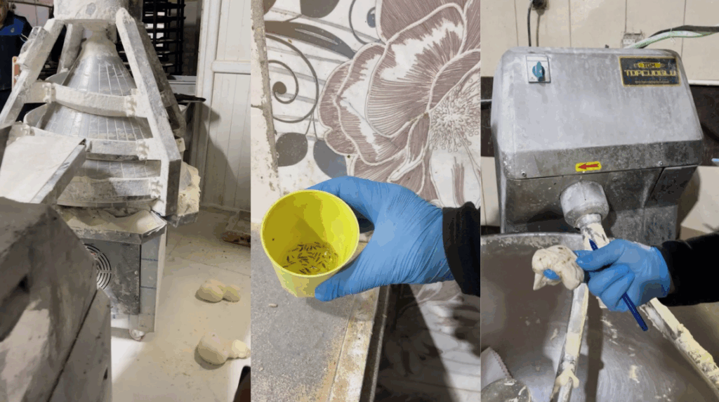 Yediğimiz Ekmekte Böcek Var! Fırın Denetiminde Şok Görüntü