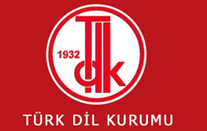 2025 Yılının Kelimesi Belli Oldu