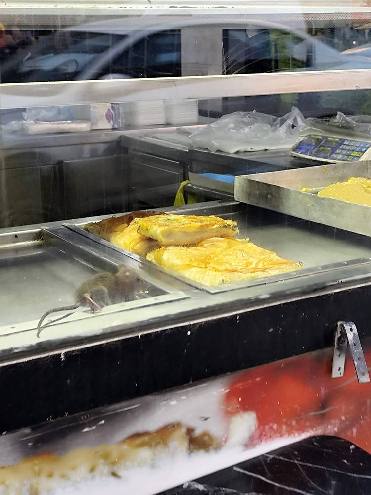 Börekçide Mide Bulandıran Görüntüler: Fare Börek Yedi