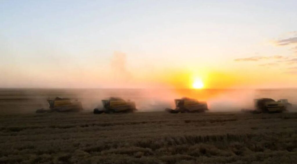 Ceylanpınar TİGEM 254 Sürekli İşçi Alımı Yapacak!