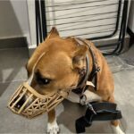 Operasyon Sırasında Tüyleri Ürperten Görüntüler!