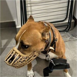 Operasyon Sırasında Tüyleri Ürperten Görüntüler!