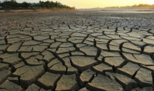 Üretici Alarm Verdi: Güneydoğu’da Tarım Tehlike Altında