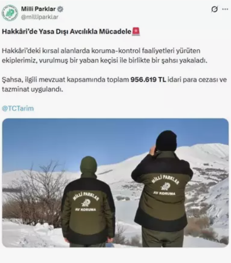 Yaban Keçisi Vurdu: Çok Pahalıya Mal Oldu!