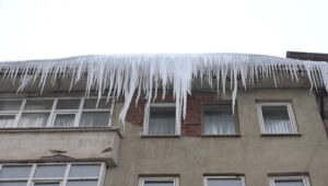 Muş'ta Sibirya Soğukları Tehlike Saçıyor