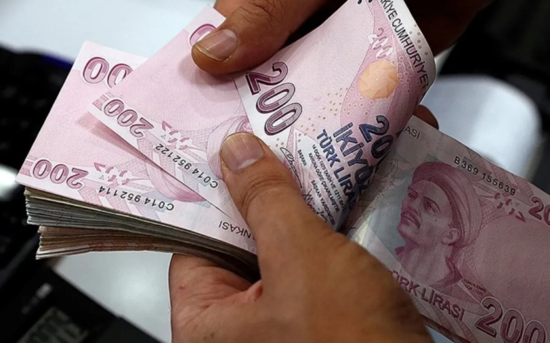 Ocak Ayı Sosyal Ve Ekonomik Destek Ödemeleri Hesaplara Yatırıldı