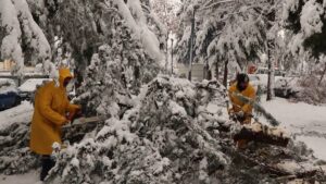 Şanlıurfa'da kar manzaraları