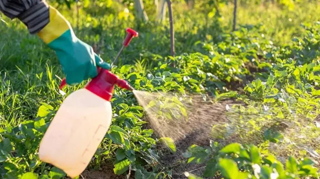 Tüm Çiftçileri İlgilendiren Karar: B-Reçete Dönemi Başladı