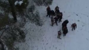 Urfa da aralarında: 26 ilde dev göçmen kaçakçılığı operasyonu!