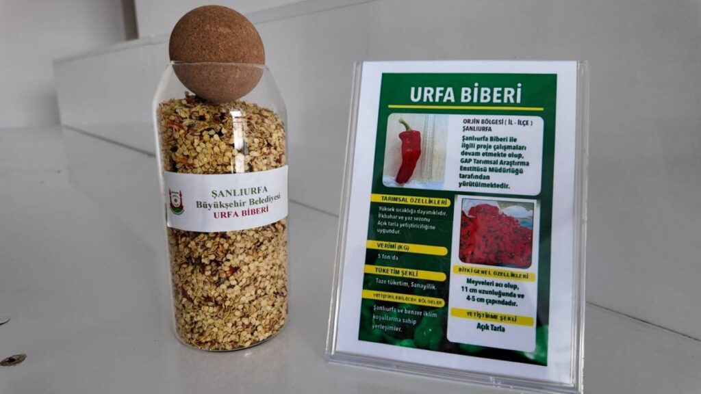 Büyükşehir’den ata tohumu desteği: İşte son başvuru tarihi!