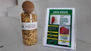 Büyükşehir’den ata tohumu desteği: İşte son başvuru tarihi!