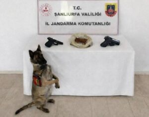 Eyyübiye'de narkotik operasyonu!