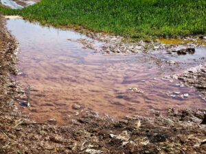 Şanlıurfa'da elektriğin yarısının kaçak kullanıldığı iddiası