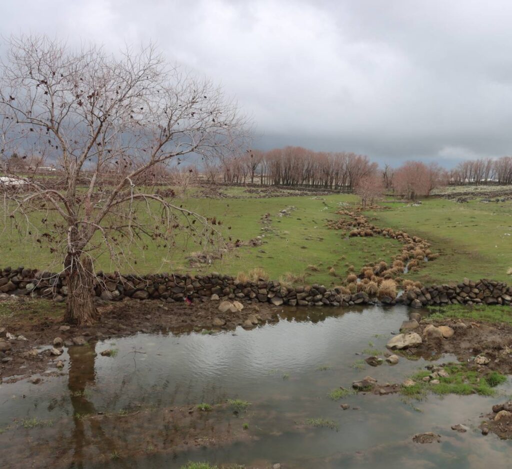 Şanlıurfa'da etkili olan yağışlar çiftçinin yüzünü güldürdü