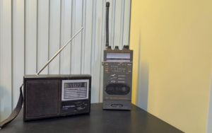 Savaşta umut, barışta kültür: Dünya radyo günü!