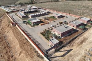 Urfa'da binlerce sokak köpeği toplatıldı