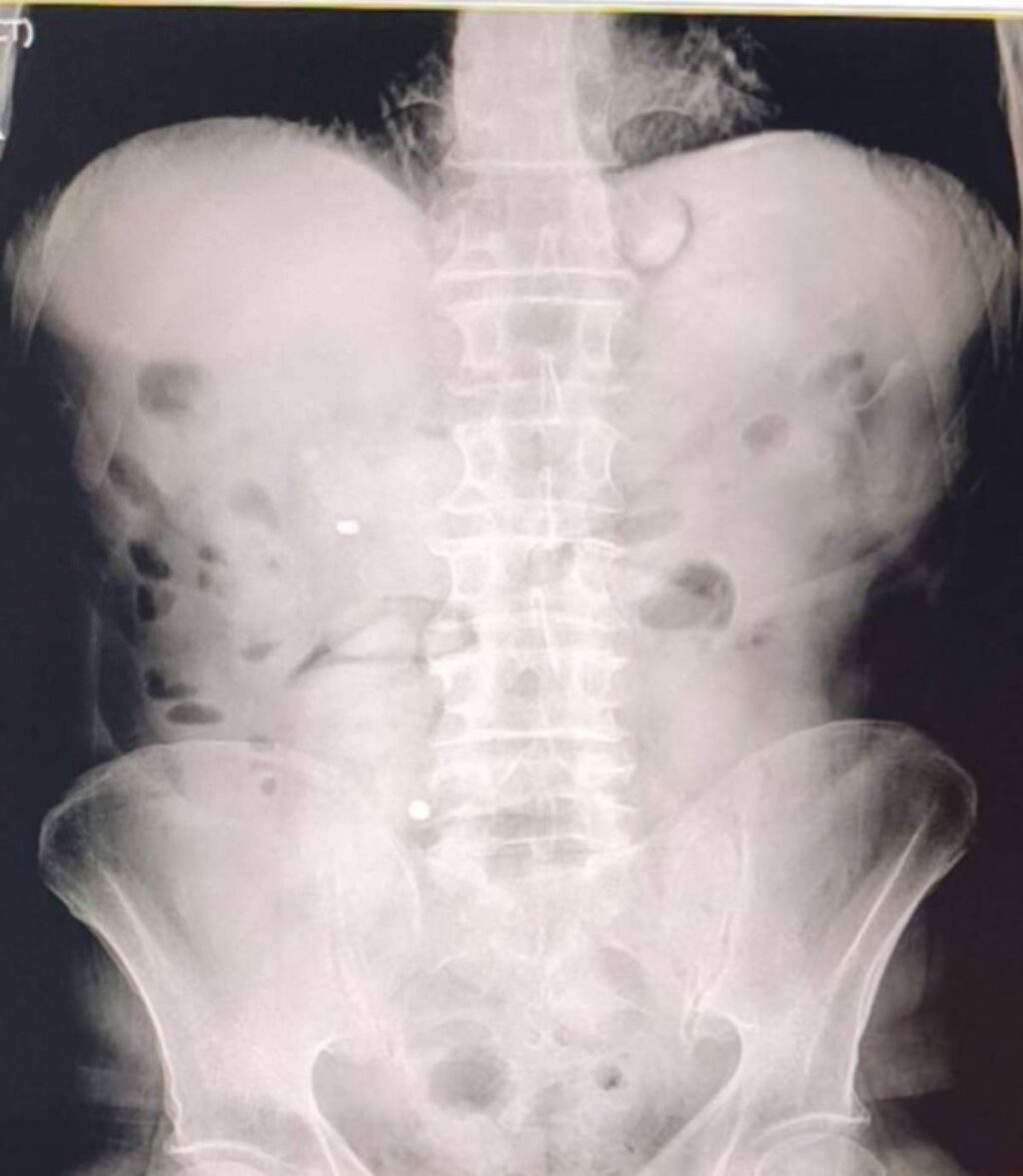 Uşak'ta zehir tacirlerine operasyon