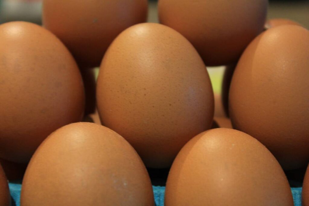 Yumurta üretiminde düşüş yaşandı!