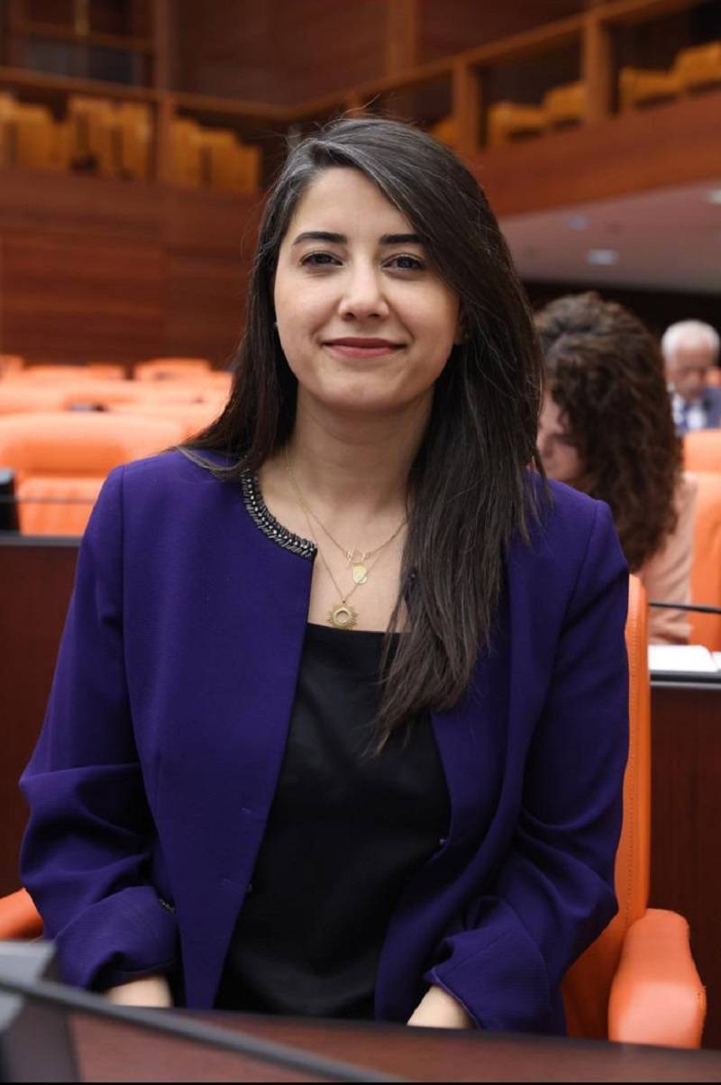 Urfa Vekili Ayan kadına yönelik şiddeti Meclis'e taşıdı!