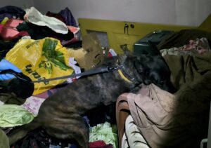 Zehir tacirlerine dev darbe!