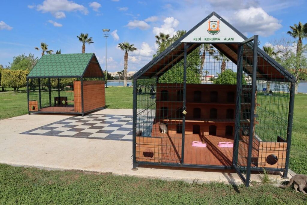Büyükşehir'den sokak kedilerine özel yaşam alanları!