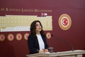 DEM Parti'li Koçyiğit'ten 'Terörsüz Türkiye' sürecine ilişkin kritik açıklama!