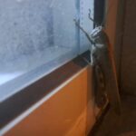 Gören bir daha baktı, boyutu şaşkınlık oluşturdu!