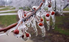 Kritik uyarı! 7 ila 11 Nisan tarihlerine dikkat!