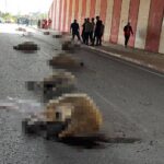 Sürüye dalan otomobil ortalığı savaş alanına çevirdi!