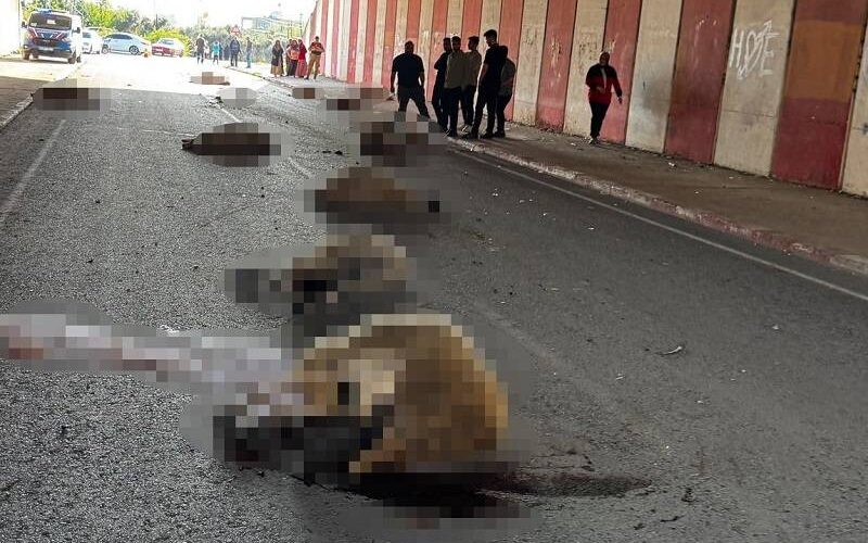 Sürüye dalan otomobil ortalığı savaş alanına çevirdi!