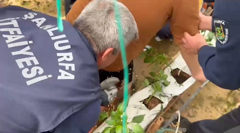 Urfa'da akıl almaz kaza!