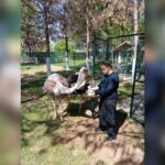 Urfa’da özel bireyler için hayvan destekli rehabilitasyon!