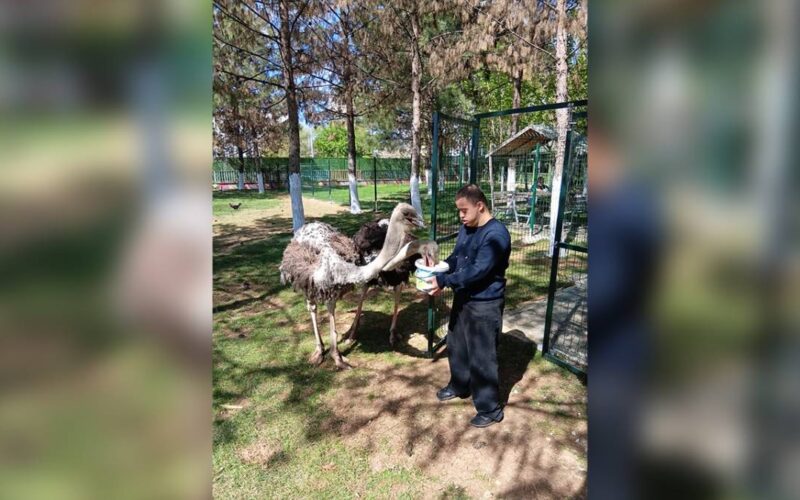 Urfa'da özel bireyler için hayvan destekli rehabilitasyon!